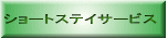 V[gXeCT[rX