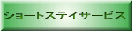 V[gXeCT[rX
