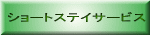 V[gXeCT[rX